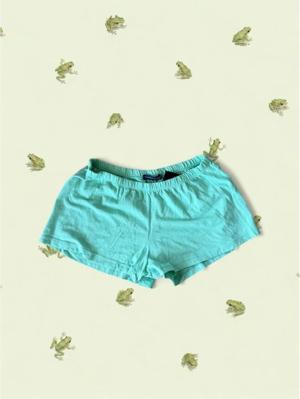 Brandy Melville mint green shorts